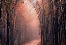 皇冠体育官网：[国际足球]TOP10：十大人挪活.