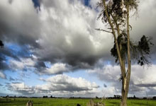 皇冠体育官网:克罗斯盲排任意球高手:卡洛斯居首,梅西第,C罗第.