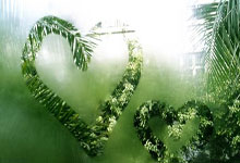 图片报:聚勒不会在夏窗离开多特,他计划要在科瓦奇手下证明自己.